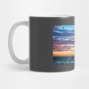 Albuquerque Hot Air Balloon Fiesta Mug